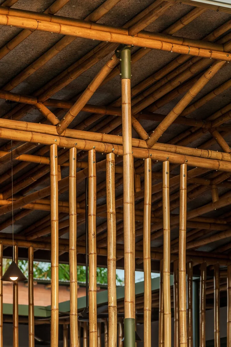 Interior view of the exposed bamboo truss system with ceiling panels in warm afternoon light