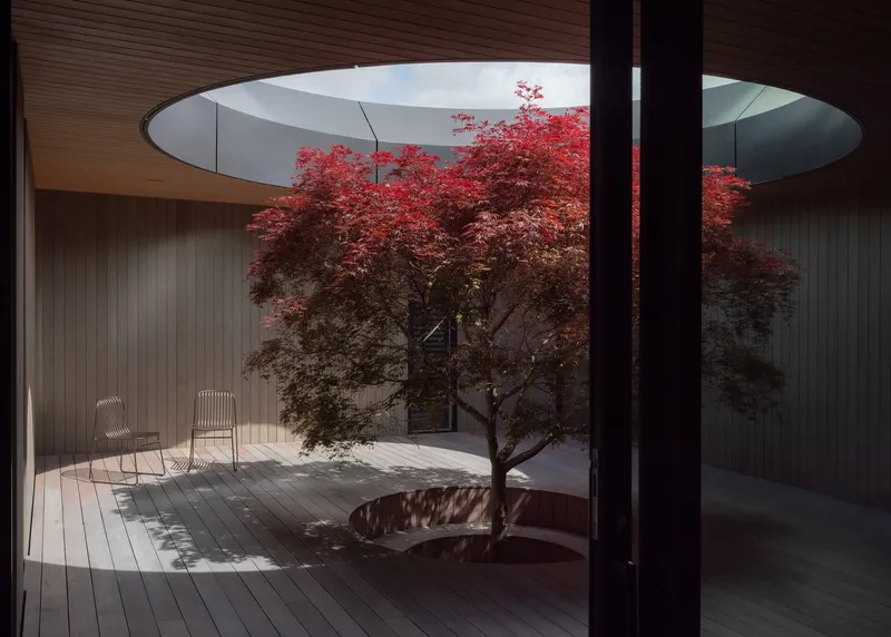 Circular courtyard opening with Japanese maple tree casting shadows on timber deck beneath curving skylight