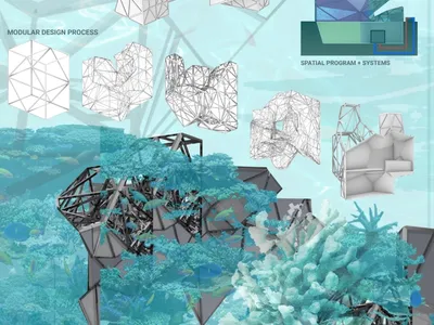 Biodiversity Lab: An Underwater Habitat That Grows Like a Coral Reef