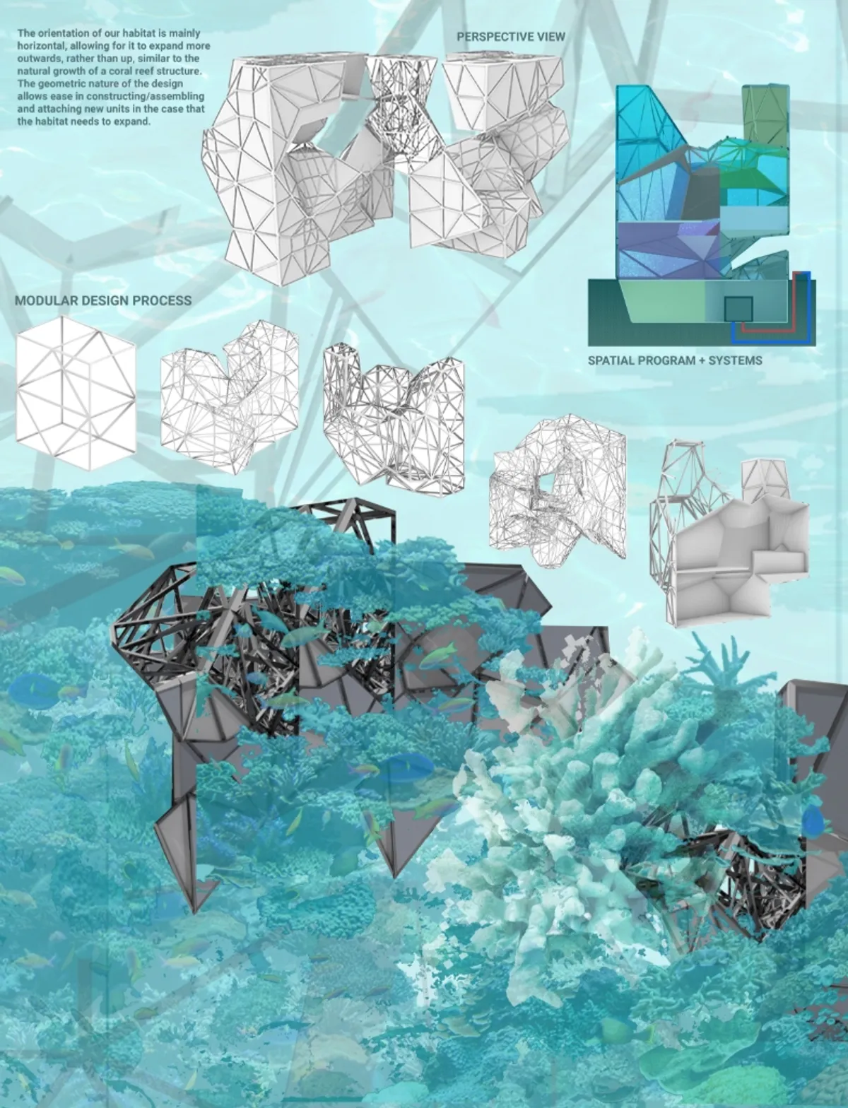 Biodiversity Lab: An Underwater Habitat That Grows Like a Coral Reef