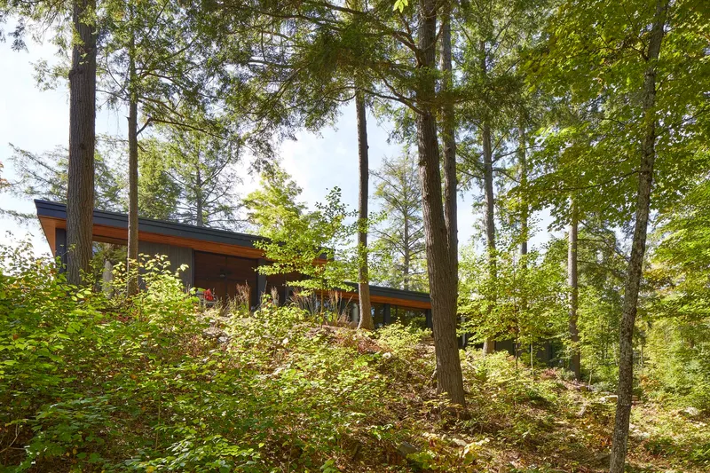 Distant view of the low-slung roof nestled among tall trees on a sloped wooded site