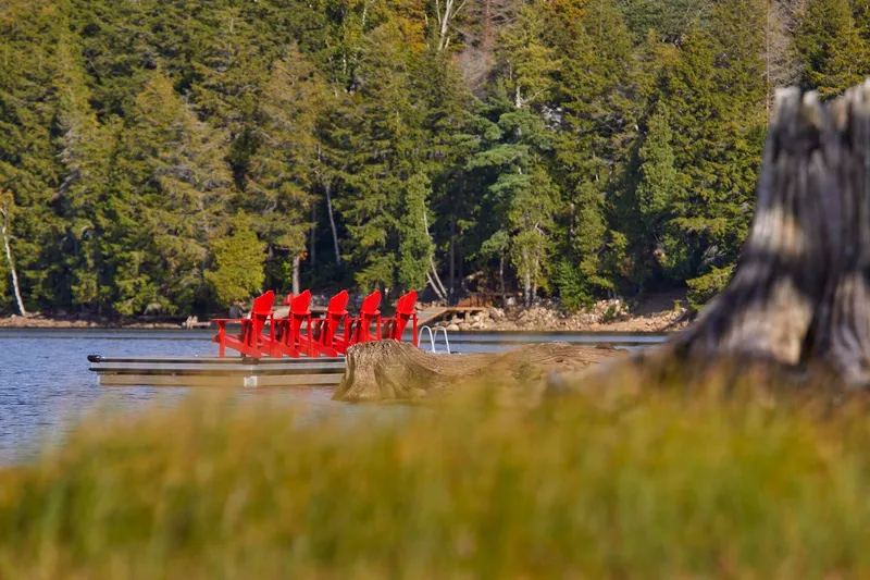 Floating dock with red chairs at the lake edge backed by forested shoreline