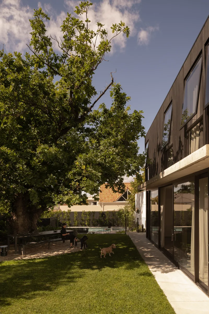 Backyard with glazed two-storey extension, lawn, and mature tree with two dogs in late afternoon sun
