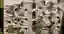 NURTURE: Sustainable Architecture for Resilient Community Living in Afghanistan