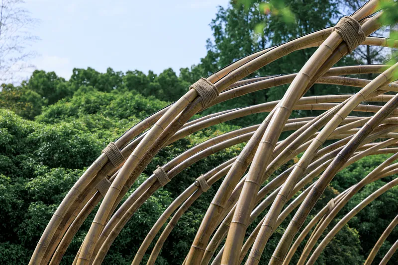 Close-up of wrapped bamboo joints where bundled poles converge in sweeping arched structure