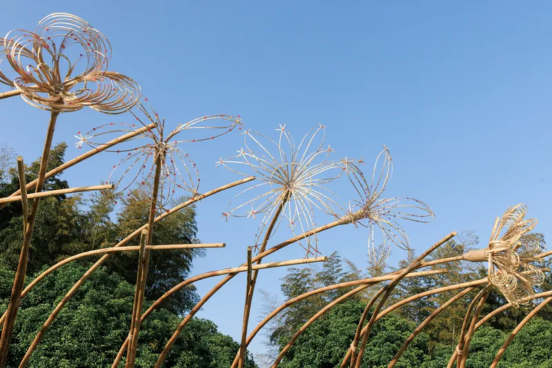 Close view of the intersecting bamboo stems supporting the flower sculptures above the curved rib canopy