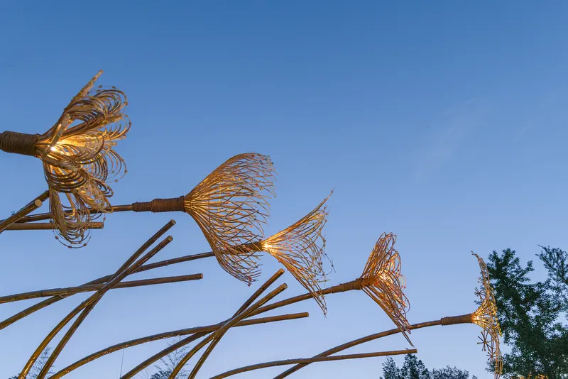 Upward view of bent bamboo stems terminating in delicate wire blossom forms against clear sky