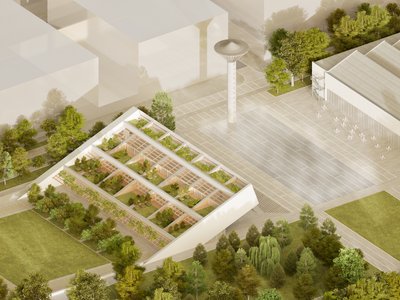 The Spark: Reimagining a Post-Industrial Landscape through Community, Nature and Adaptive Architecture