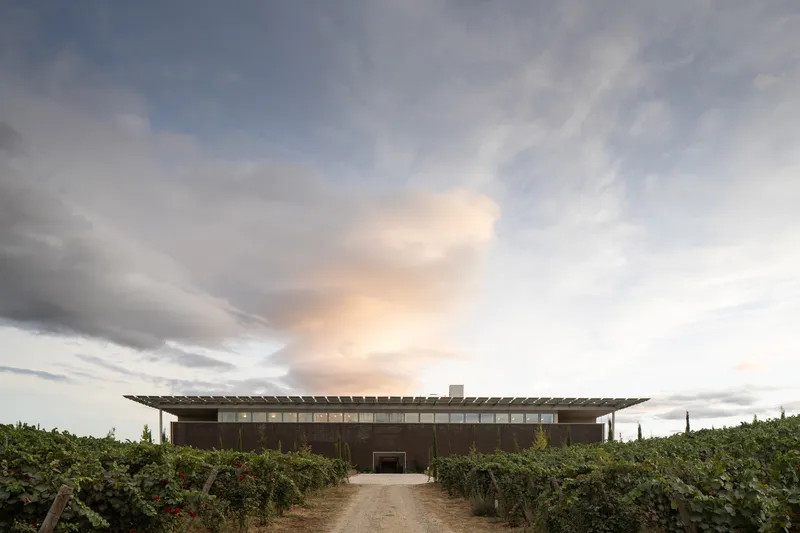Long view of horizontal building with solar canopy roof approached by path through vineyard at dusk