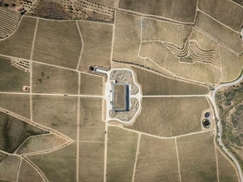 Aerial view of the rectangular structure nestled within surrounding vineyard plots and access roads