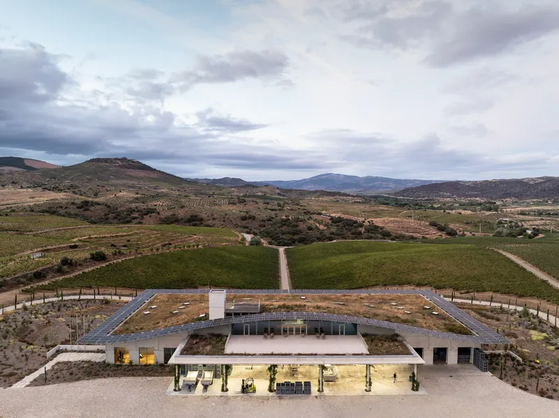Elevated view showing the vegetated roof with a white chimney overlooking vineyard rows and distant hills