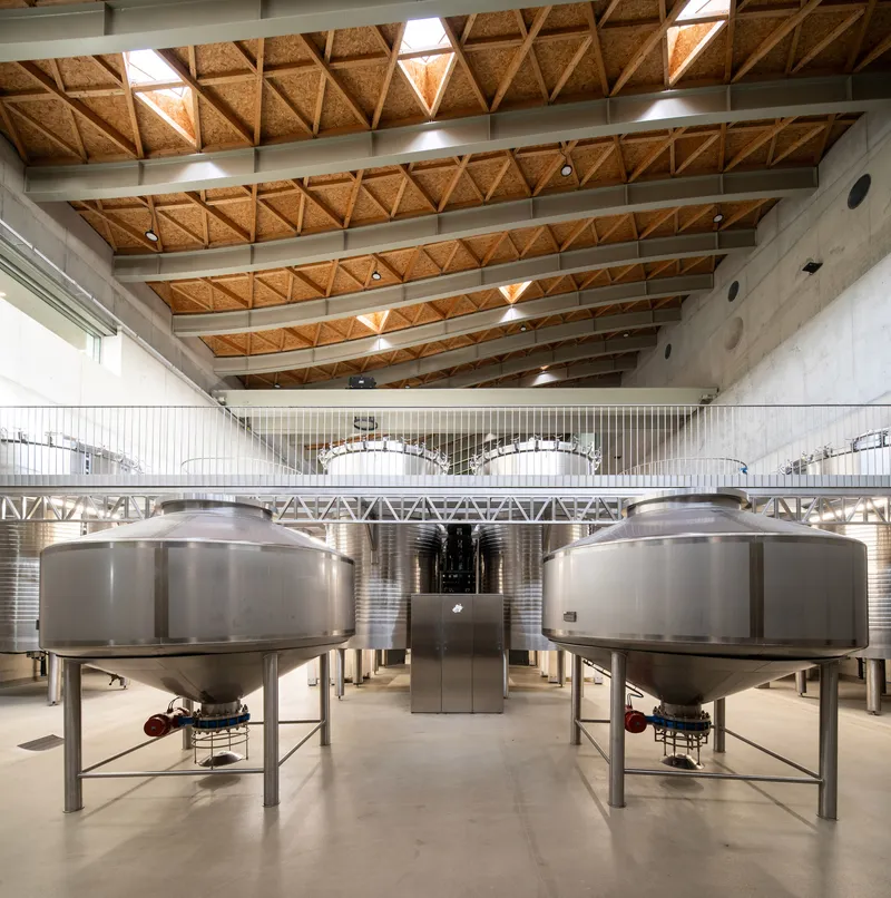 Stainless steel fermentation tanks beneath a coffered cork ceiling with concrete walls and skylights