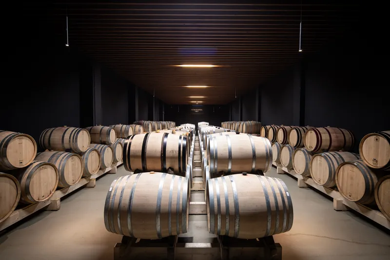 Barrel aging room with rows of oak casks under linear ceiling lighting and dark wood cladding