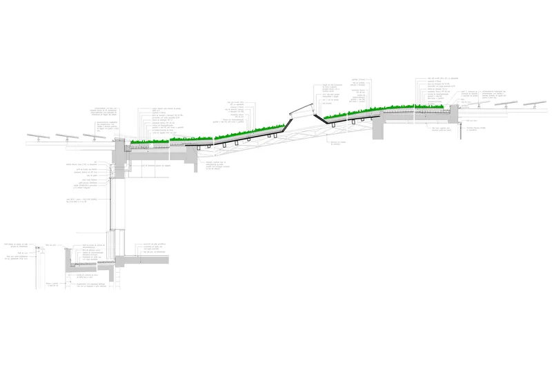 Detail section drawing showing the sloped green roof assembly with structural framing and foundation