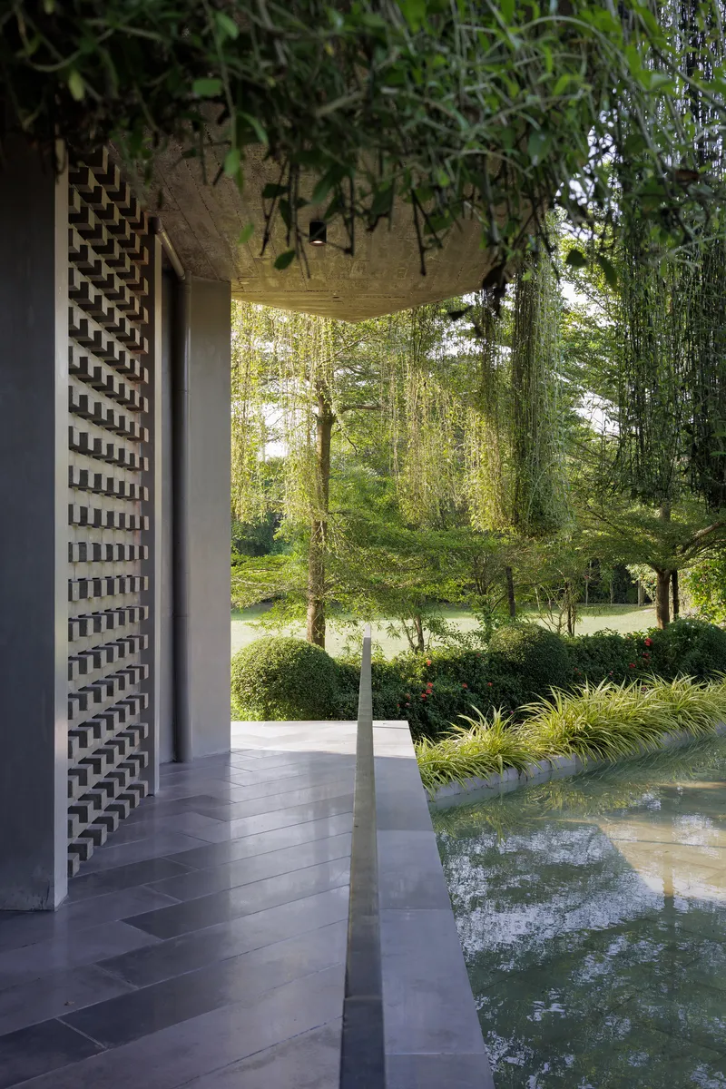 Covered walkway with perforated brick screen wall and concrete overhang draped with climbing vines
