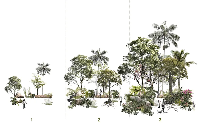 Section elevation showing three zones of layered planting with palm trees and canopy trees at varying heights