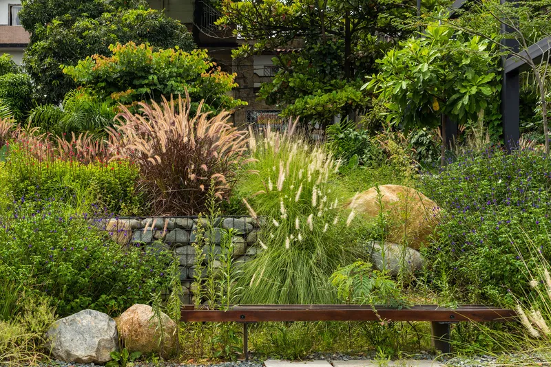 Terraced garden with gabion walls, ornamental grasses, boulders and a low timber bench in bright sunlight