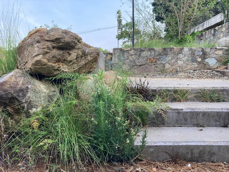 Concrete steps ascending through native grasses and weathered boulders beside a stone retaining wall