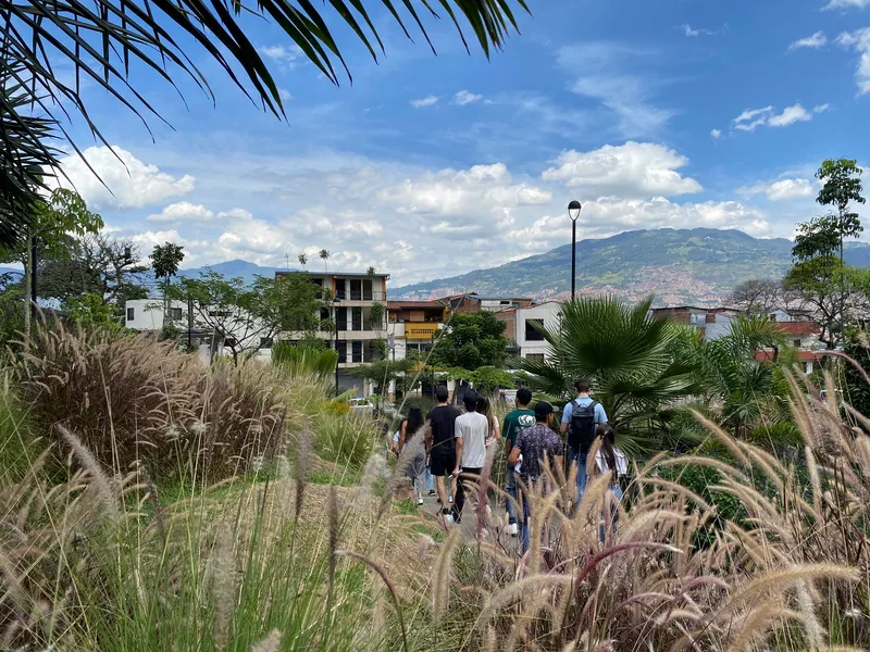 Planted pathway with grasses and palms descending toward low-rise housing under a cloudy afternoon sky