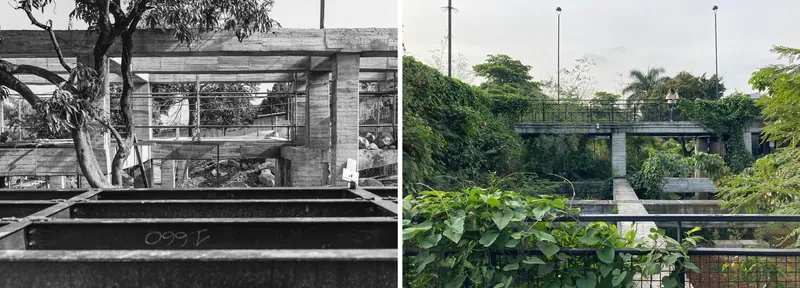 Elevated concrete bridge structure with planted greenery and lamp posts spanning across planted terraces