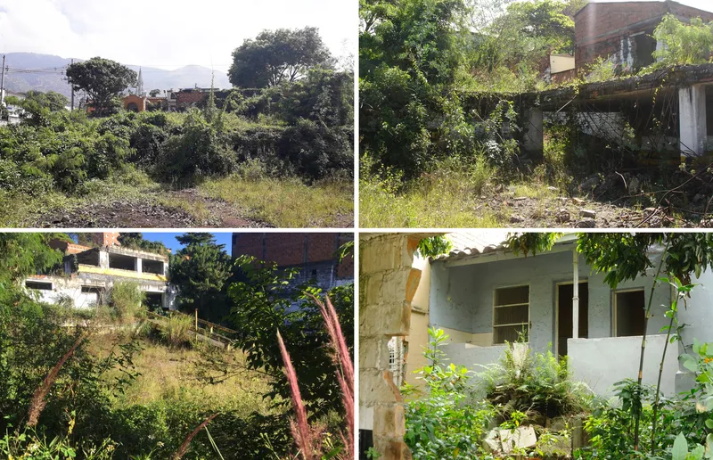 Four views of overgrown site showing concrete ruins, vegetation, and partial structures with trees and hillside