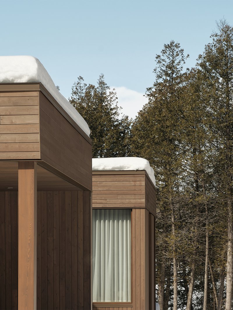 Exterior view of horizontal timber cladding volumes with snow on flat roofs against autumn trees