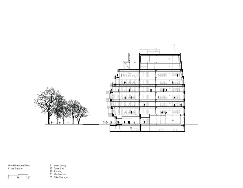 Cross section drawing showing a terraced volume stepping upward beside a row of deciduous trees