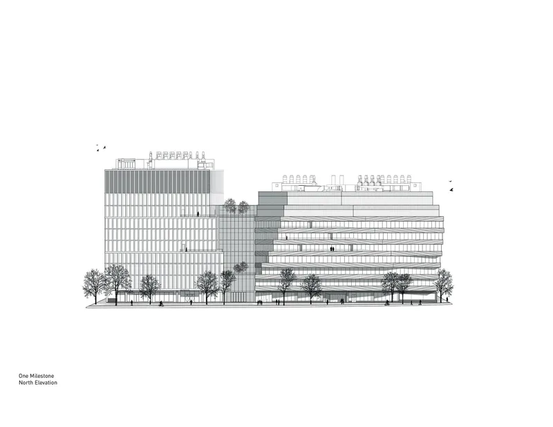 North elevation drawing depicting two connected volumes with gridded facades and street trees at grade