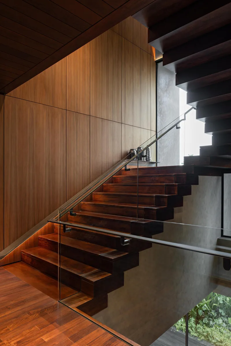 Cantilevered timber stair treads with glass railing beside wood-paneled wall under slatted timber ceiling
