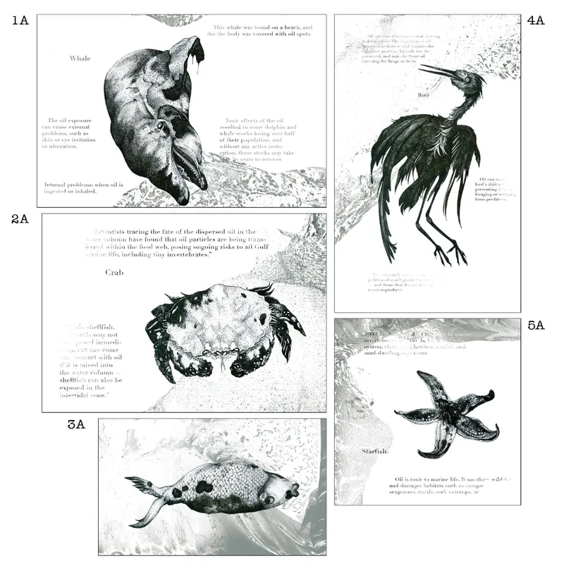 Illustrated marine species combine scientific detail with expressive textures to communicate the ecological impact of oil spills.