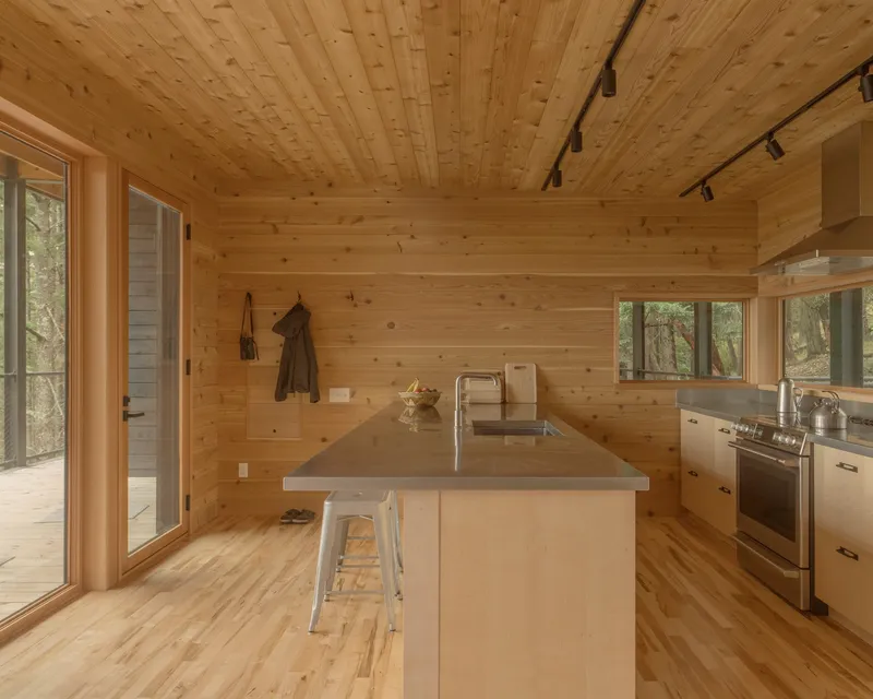 Kitchen island with concrete countertop in plywood-lined room with track lighting and forest views