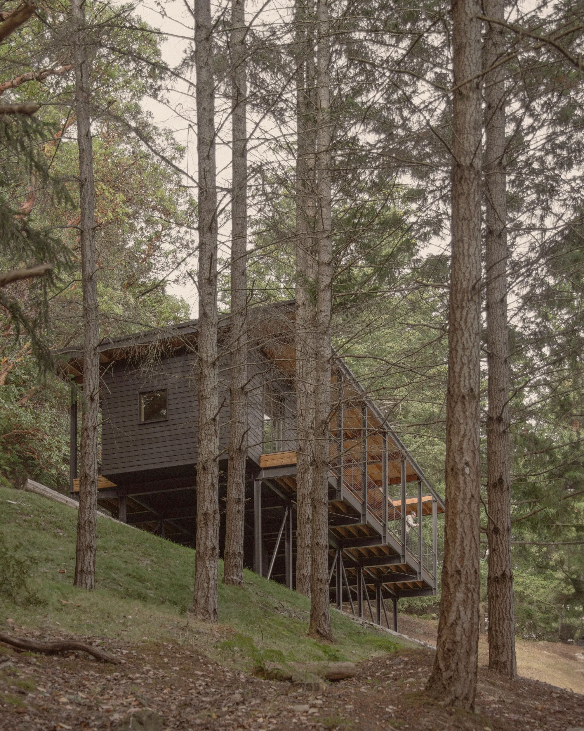 Miller Hull Lifts a Metabolist-Inspired Cabin Above a Remote Island Forest on Steel Stilts