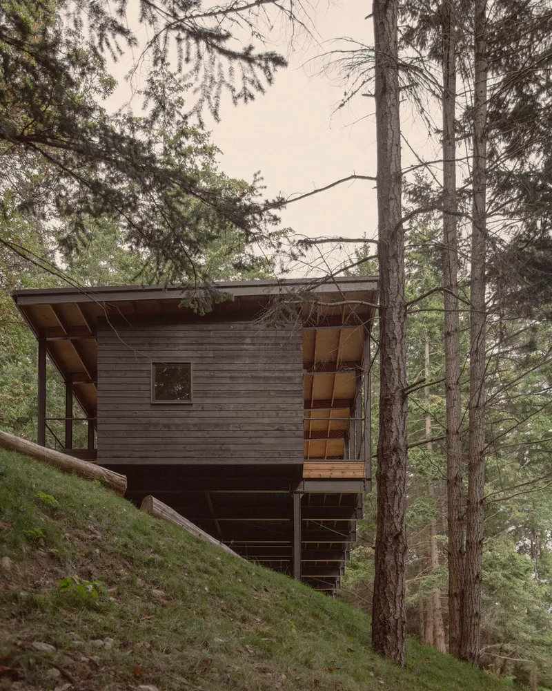 Two-story structure with dark wood cladding and exposed timber soffit nestled among conifers on a hill