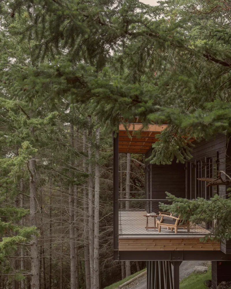 Elevated timber deck with trellis overhead and two chairs surrounded by dense evergreen forest