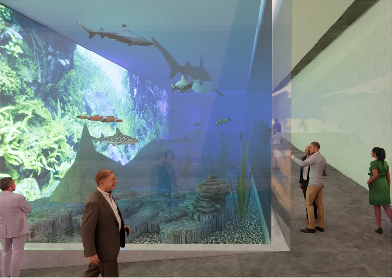 Immersive aquarium gallery presenting water as habitat through aquatic life, light, and spatial observation.