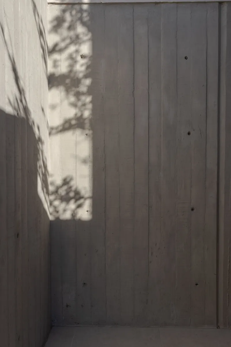 Timber-clad courtyard wall with dappled tree shadows cast across vertical boards