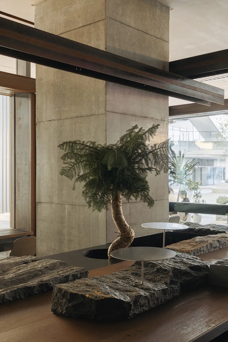 Concrete column wrapped by timber and steel beams with bonsai tree beside stone seating platforms