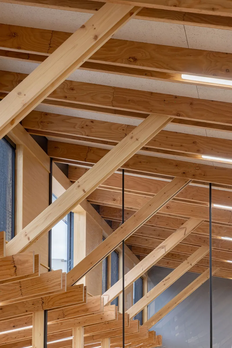 Detail of diagonal timber bracing and exposed ceiling structure above glazed curtain wall