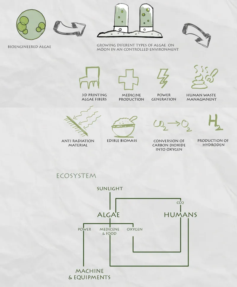 Bioengineered algae forms a closed-loop lunar ecosystem for oxygen, food, medicine, energy, waste treatment, and construction.