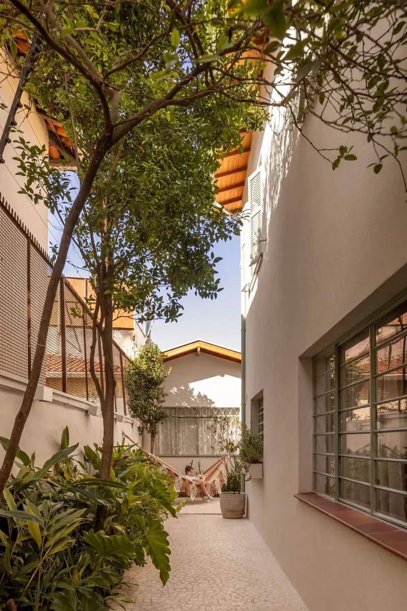 Narrow side courtyard with mature tree between white walls and glass block openings
