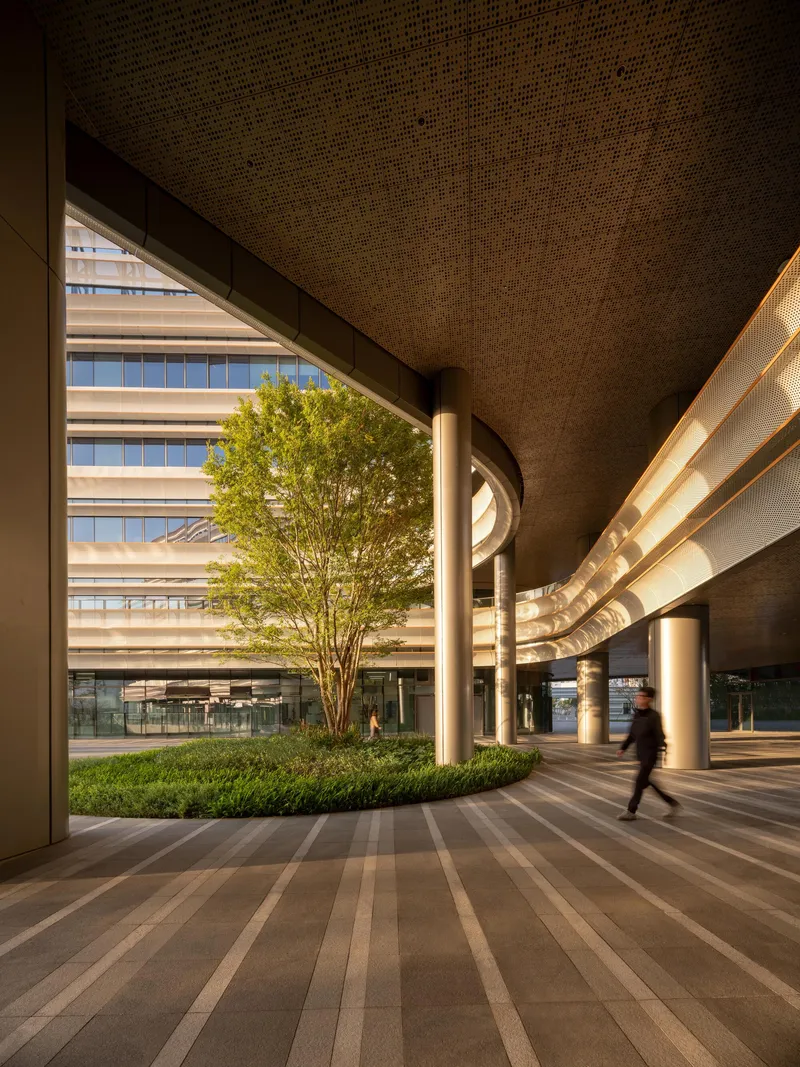 Covered walkway at dusk with striped pavement, round columns, planted tree, and a person walking beneath perforated soffit