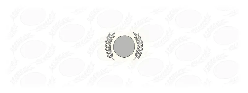 2InsigniaDummy