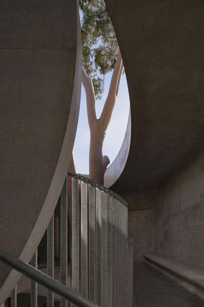 Upward view through stairwell opening showing preserved tree trunk and branches against white concrete forms