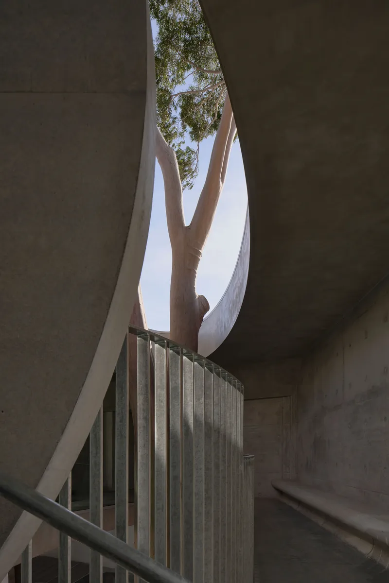 Upward view through stairwell opening showing preserved tree trunk and branches against white concrete forms