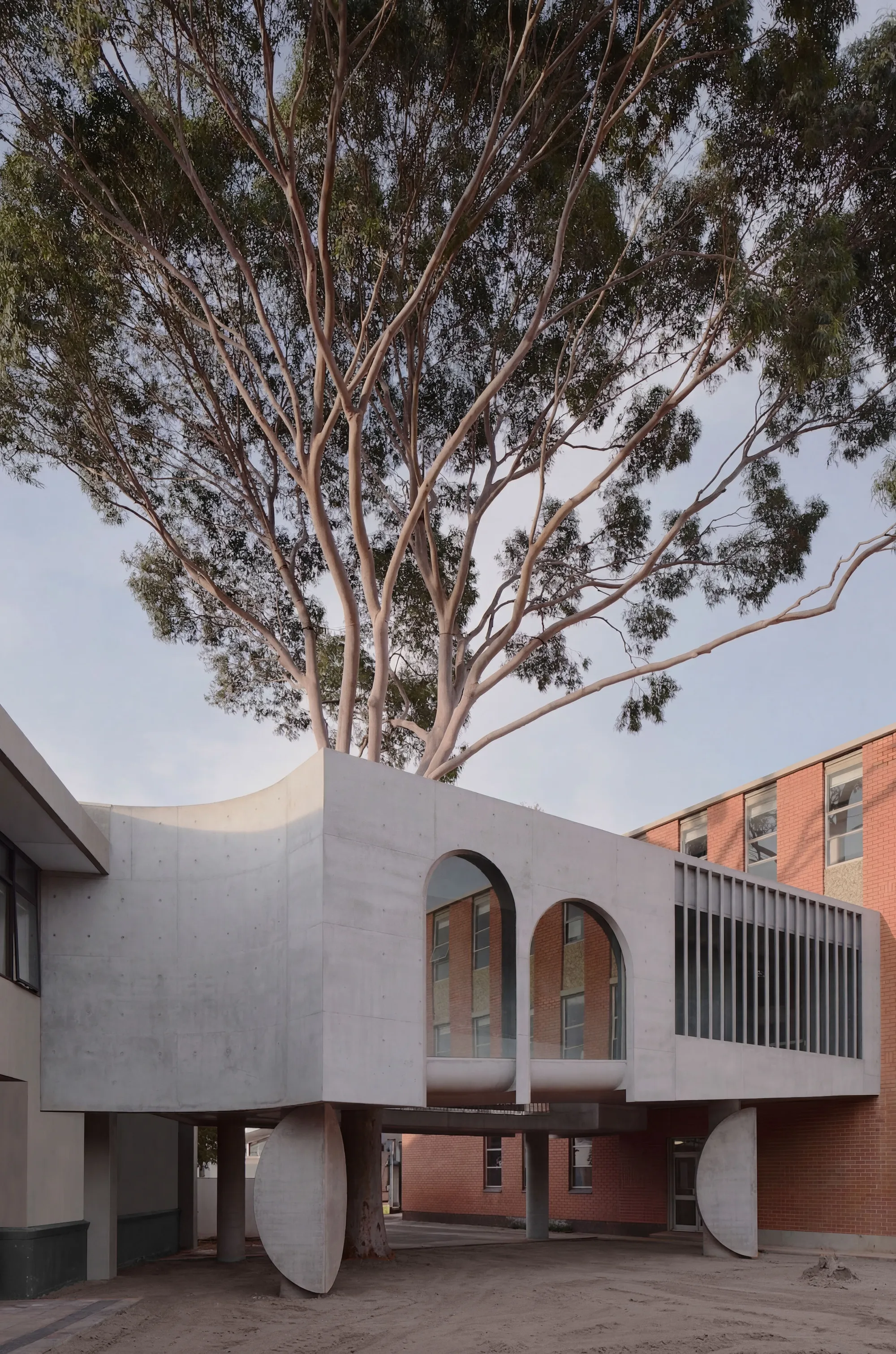 Farrell Wray Architects Wraps a Eucalyptus Tree in a Concrete Gallery Bridge at Marcellin College