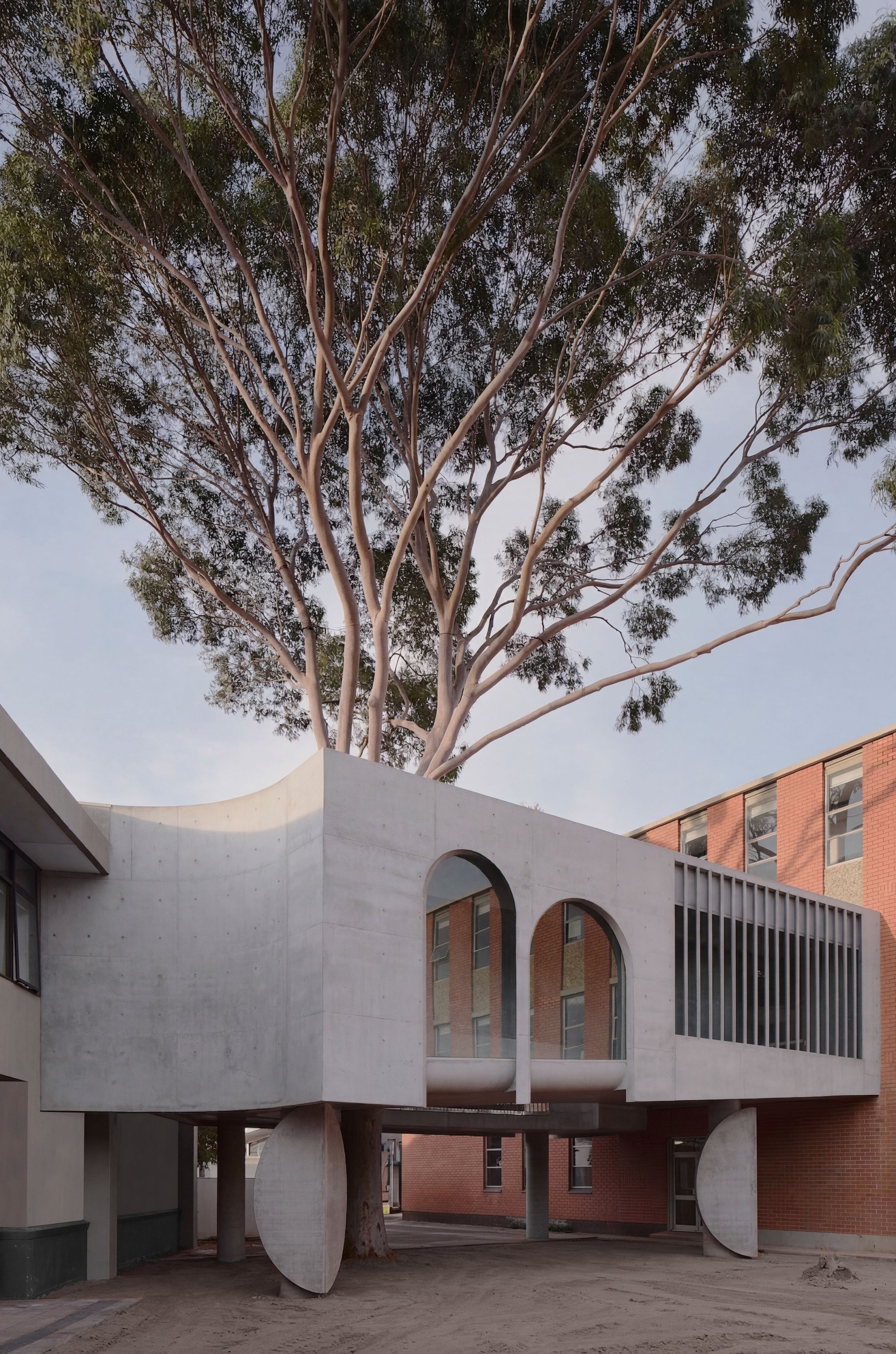 Farrell Wray Architects Wraps a Eucalyptus Tree in a Concrete Gallery Bridge at Marcellin College
