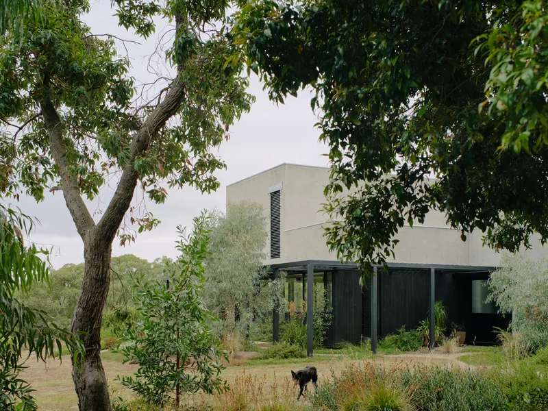 Two-story concrete volume with narrow window slots seen through foreground trees and a dog in the yard