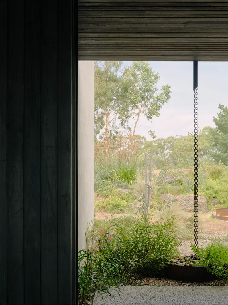Corner window with black vertical cladding framing a planted bed and bushland beyond