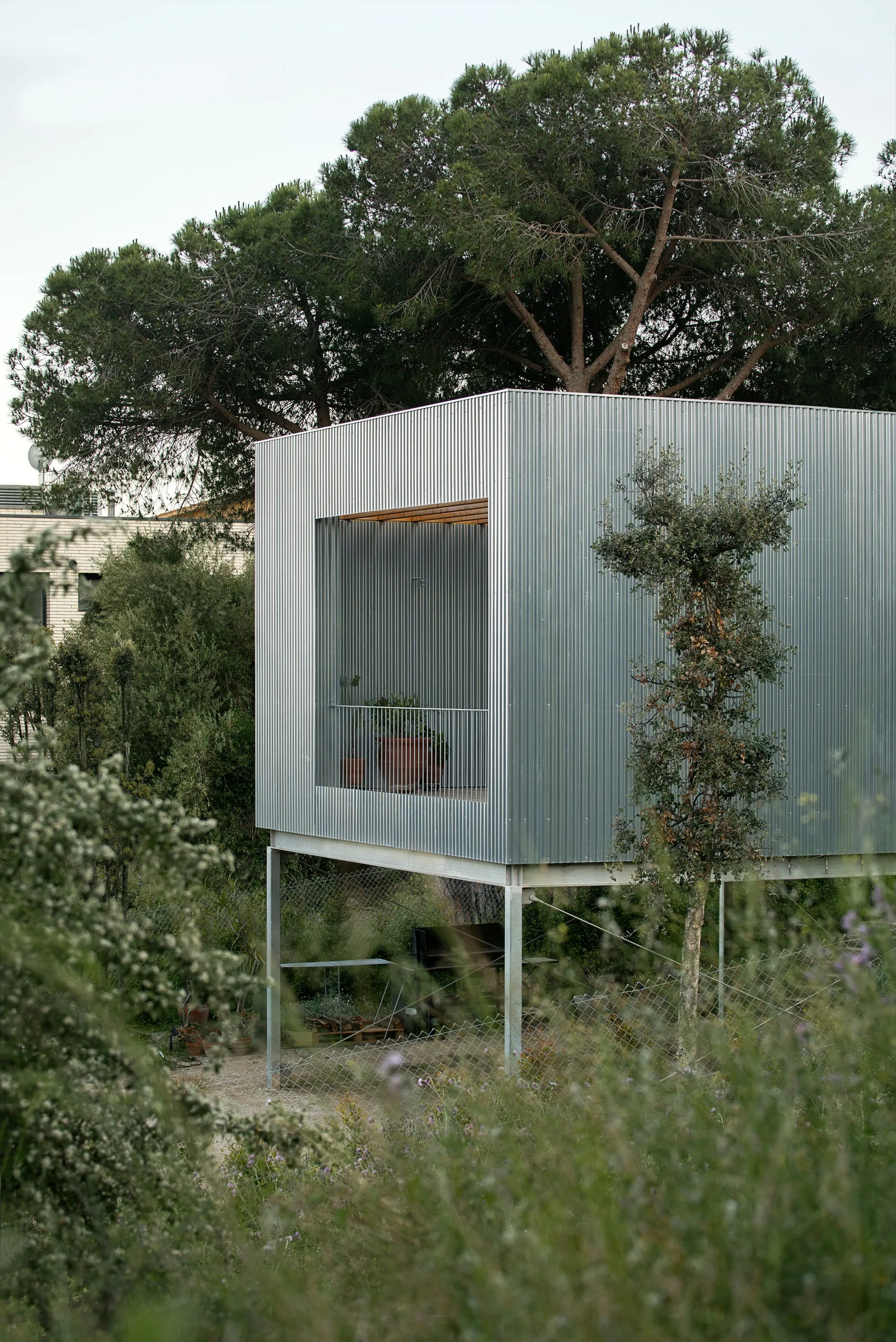 Jaime Prous Architects Floats a Corrugated Steel Pavilion Over a Forested Hillside in Maresme