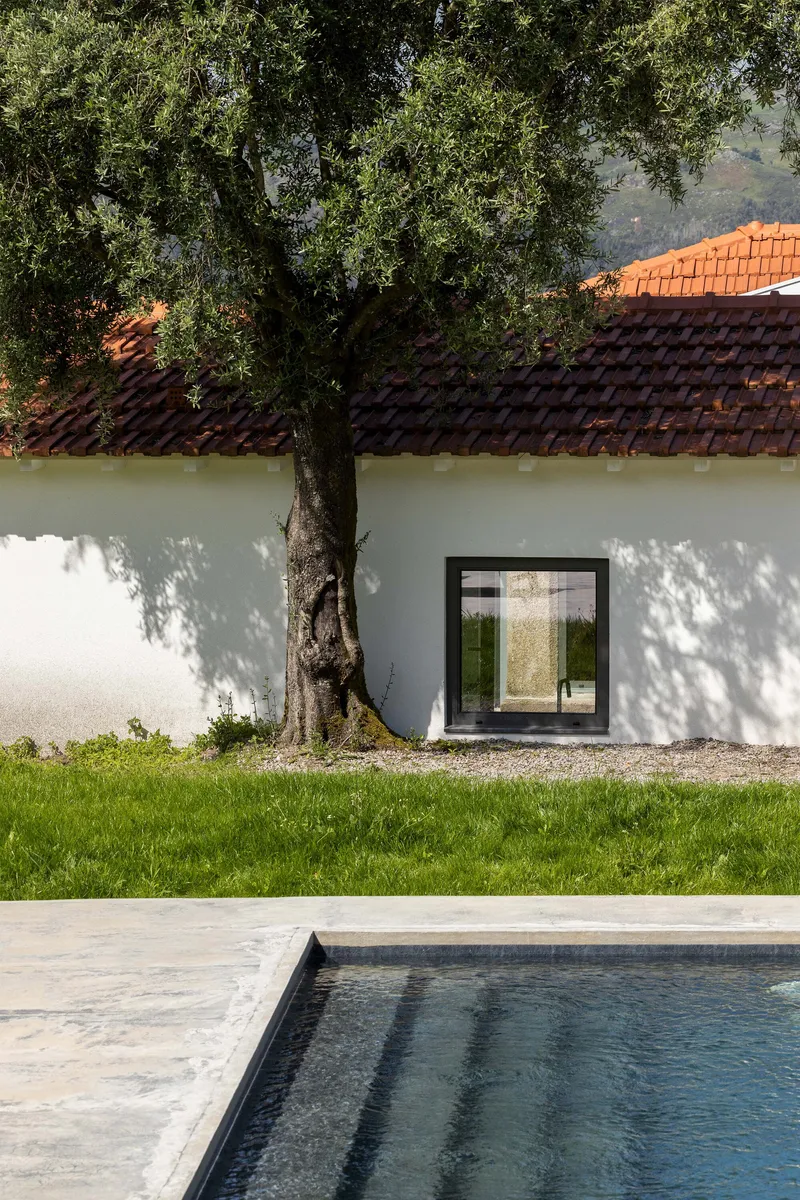 White rendered facade with large window frame beneath red tile roof and mature tree casting shadows